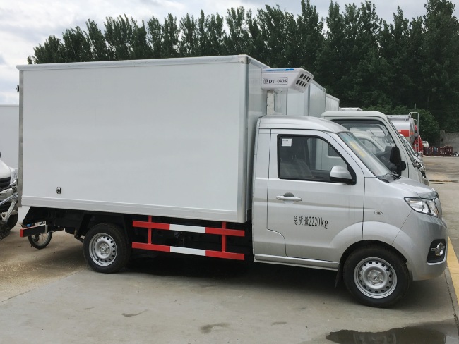 (Length: 2.9 meters) Golden Cup T30 Refrigerated Truck